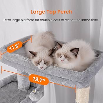 Amazon.com : Heybly Tall Cat Tree, 78-inch Multi-Level Cat